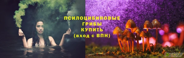 мет Инта