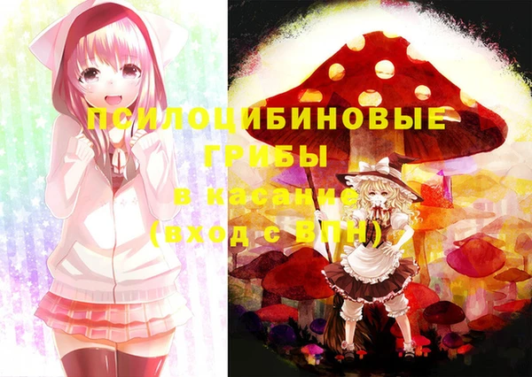 спайс Алексин