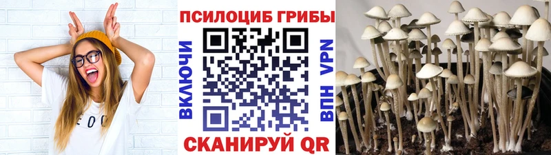 Псилоцибиновые грибы MAGIC MUSHROOMS Исилькуль